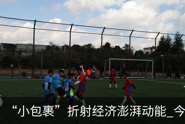 “小包裹”折射经济澎湃动能 今年前8个月邮政行业寄递业务量稳步攀升